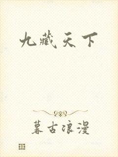 九藏天下