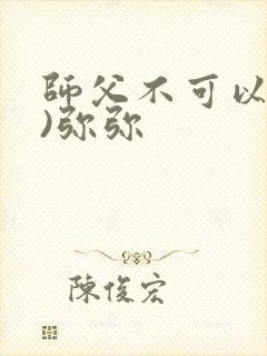 师父不可以(限)弥弥封面