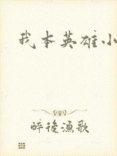我本英雄小说