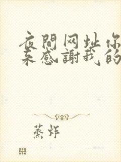 夜间网址你会回来感谢我的