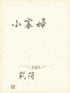 小寡妇封面