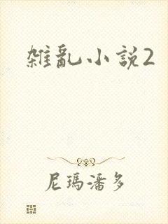 杂乱小说2
