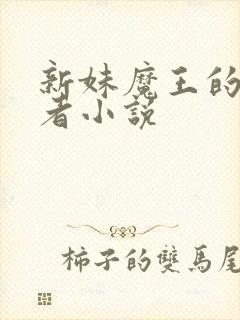 新妹魔王的契约者小说
