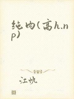 纯肉(高h.np)