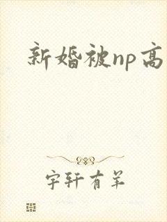 新婚被np高h封面