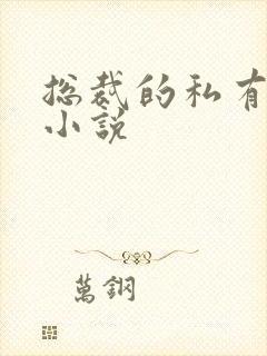 总裁的私有宝贝小说