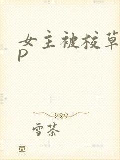 女主被校草们NP