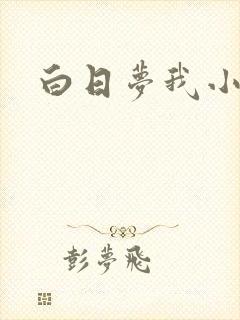 白日梦我小说