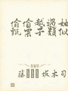 偷偷越过她by甄栗子类似小说