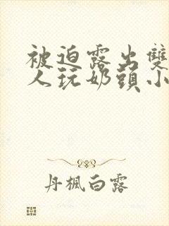 被迫露出双乳供人玩奶头小说