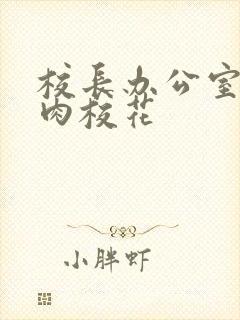 校长办公室里狂肉校花