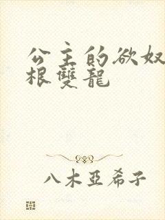 公主的欲奴h四根双龙