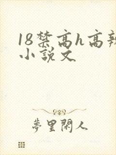 18禁高h高辣小说文
