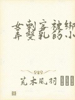 女刺客被绑着玩弄双乳的小说