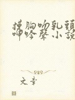 摸胸吻乳头情事呻吟声小说封面