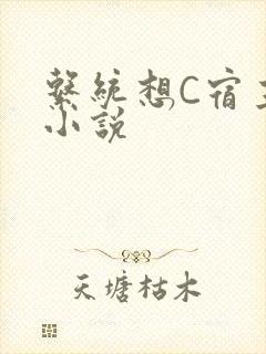 系统想C宿主的小说