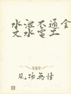 水泄不通金银原文水电工