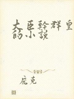 大臣干群皇太后的小说