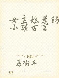 女主姓叶的穿越小说古言