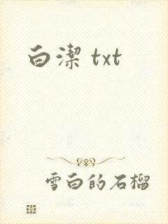 白洁 txt封面