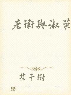 老卫与淑荣封面