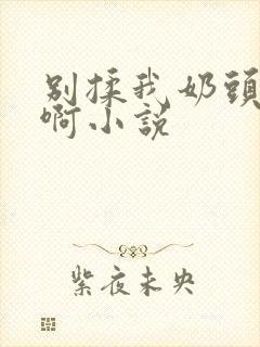 别揉我奶头嗯～啊小说封面