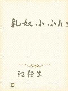 乳奴小小h文