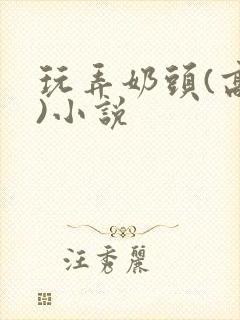 玩弄奶头(高h)小说