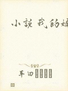 小说 我的娇妻封面