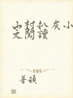 山村扒灰小说全文阅读封面