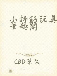 小诗的玩具日记笔趣阁