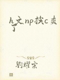 h文np挨c爽了