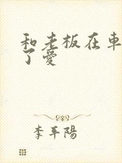 和老板在车里做了爱