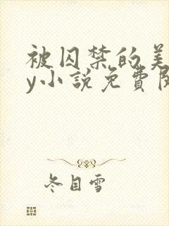 被囚禁的美人by小说免费阅读封面