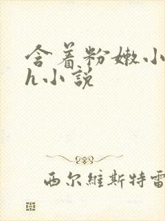 含着粉嫩小奶头h小说