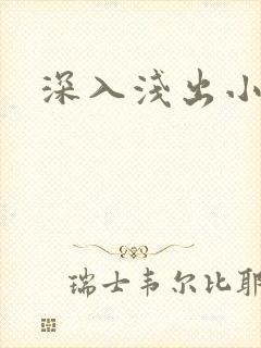 深入浅出小说