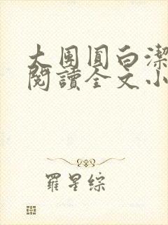 大团圆白洁免费阅读全文小说