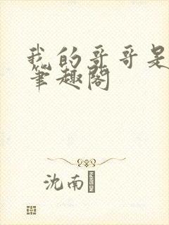 我的哥哥是高欢笔趣阁