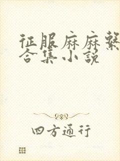 征服麻麻系列大合集小说