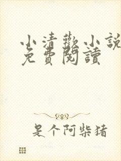 小清欢小说全文免费阅读