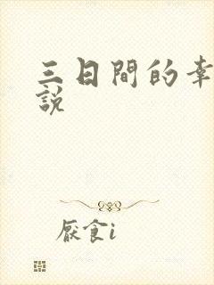 三日间的幸福小说封面