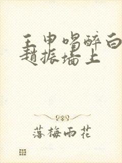 王申喝醉白洁被赵振墙上