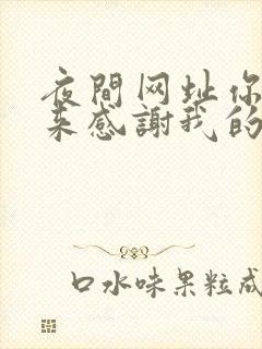 夜间网址你会回来感谢我的