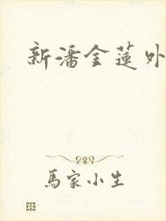 新潘金莲外传封面