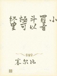 终极斗罗小说哪里可以看封面