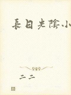 长日光阴小说