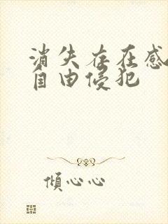 消失存在感消失自由侵犯