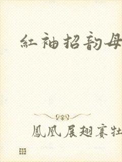 红袖招韵母攻略