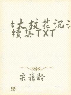 t大校花沉浮录续集TXT