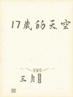 17岁的天空